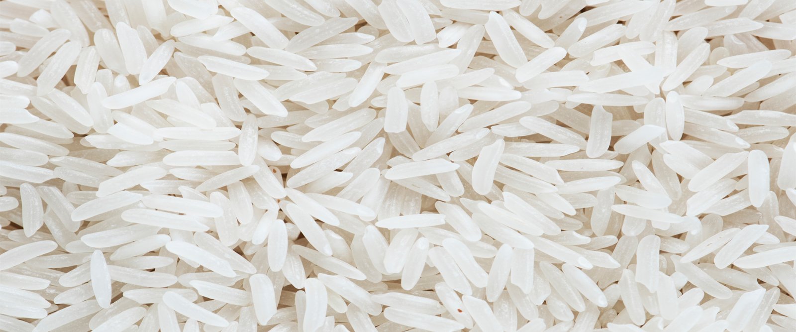 SDEY Global Trade — Makhana & Jute