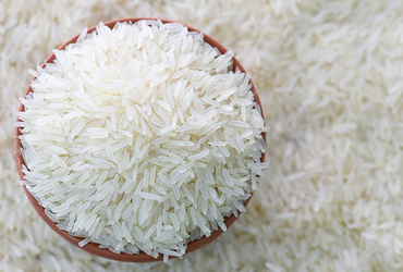 Banskathi rice exporter West Bengal India