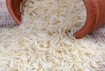 IR36 rice exporter India wholesale