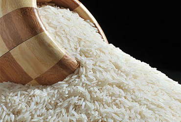 Ponni rice exporter India