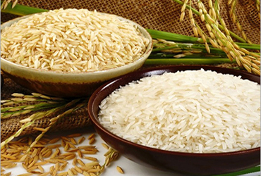 Sona Masoori rice exporter India