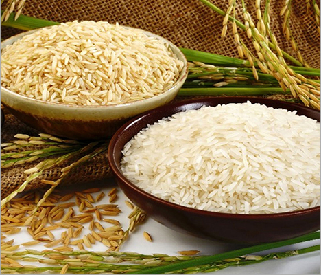 Sona Masoori Rice exporter India — SDEY Global Trade
