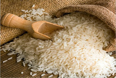Swarna Masoori rice wholesale exporter