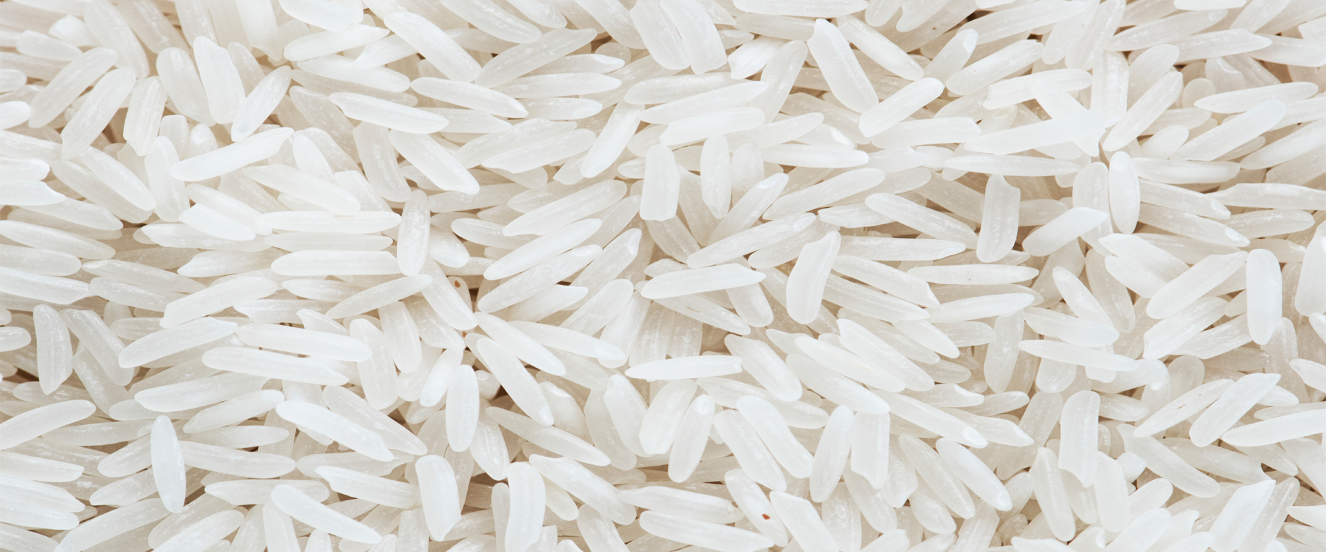 SDEY Global Trade — Makhana & Jute